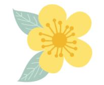 春暖花开，北京周边适合登高的地方，花开正美！还有专线能直达一个5*级A**长城景区！