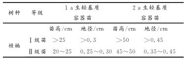 桢楠2年苗需要多少生根剂,桢楠种子的育苗方法