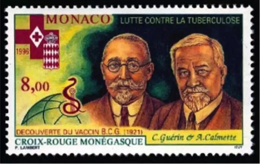 普遍接种卡介苗的低收入国家，新冠肺炎患者数量和病死率都比中上收入和高收入国家低