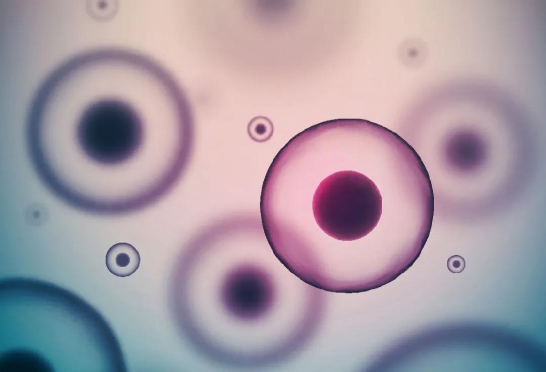 干细胞治疗失代偿期肝硬化,再生细胞能治愈乙肝吗