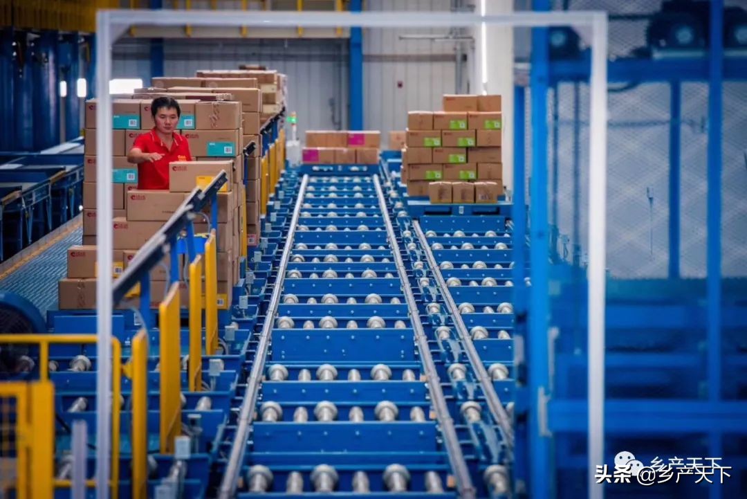 洽洽食品发展的优势与劣势,洽洽食品加工厂