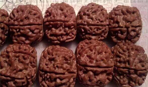 新入手的金刚菩提正确的盘玩步骤,文玩金刚菩提常识