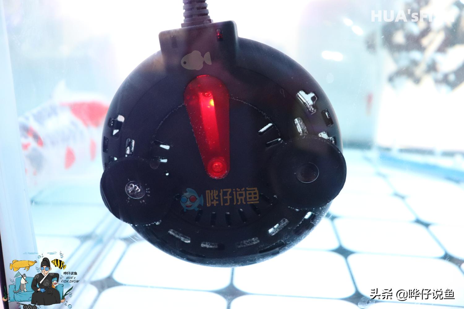 鱼缸加热棒怎么选,水族鱼缸加热棒推荐