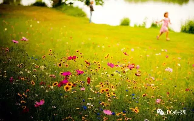 孩子每天需要多长时间的户外活动,幼儿每天坚持几个小时的户外活动