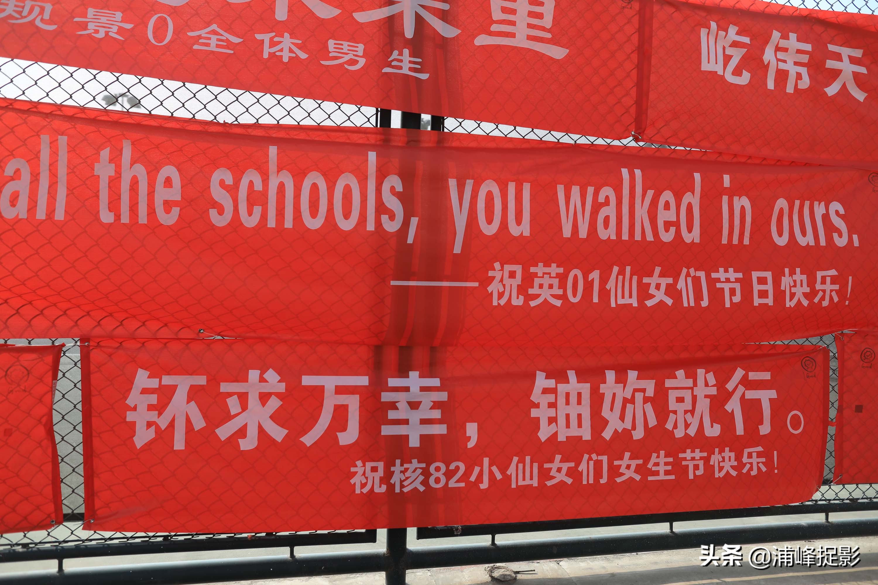 世界上有一种男生，叫清华男生，向“女神”表白高级得看不懂