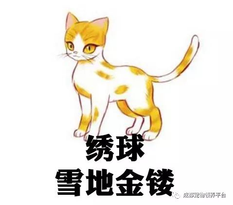 谁说土猫无名猫?快来围观古代猫谱,你家有没有镇宅神兽!