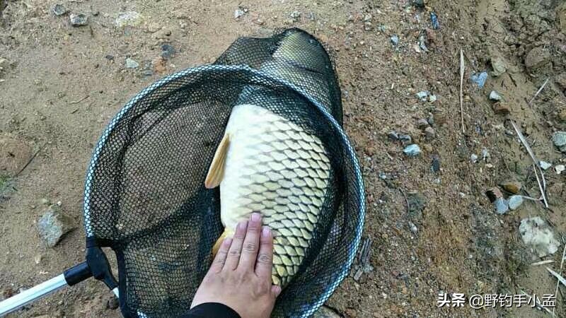 渔具套装组合推荐,钓鱼套装组合渔具全套推荐