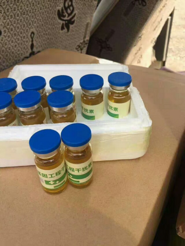 牛呼吸道的最佳治疗方法,牛羊呼吸道疾病预防用药