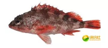 舟山海鲜攻略2天1晚住宿自由行,舟山最好的海鲜