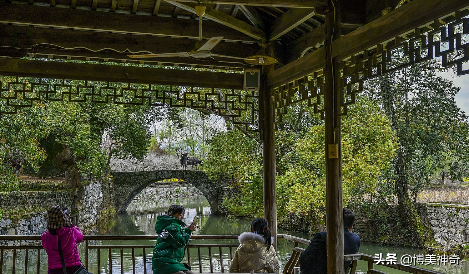 都知严田有棵救皇帝的樟王，却不明那七星伴月是何意，一图见真相