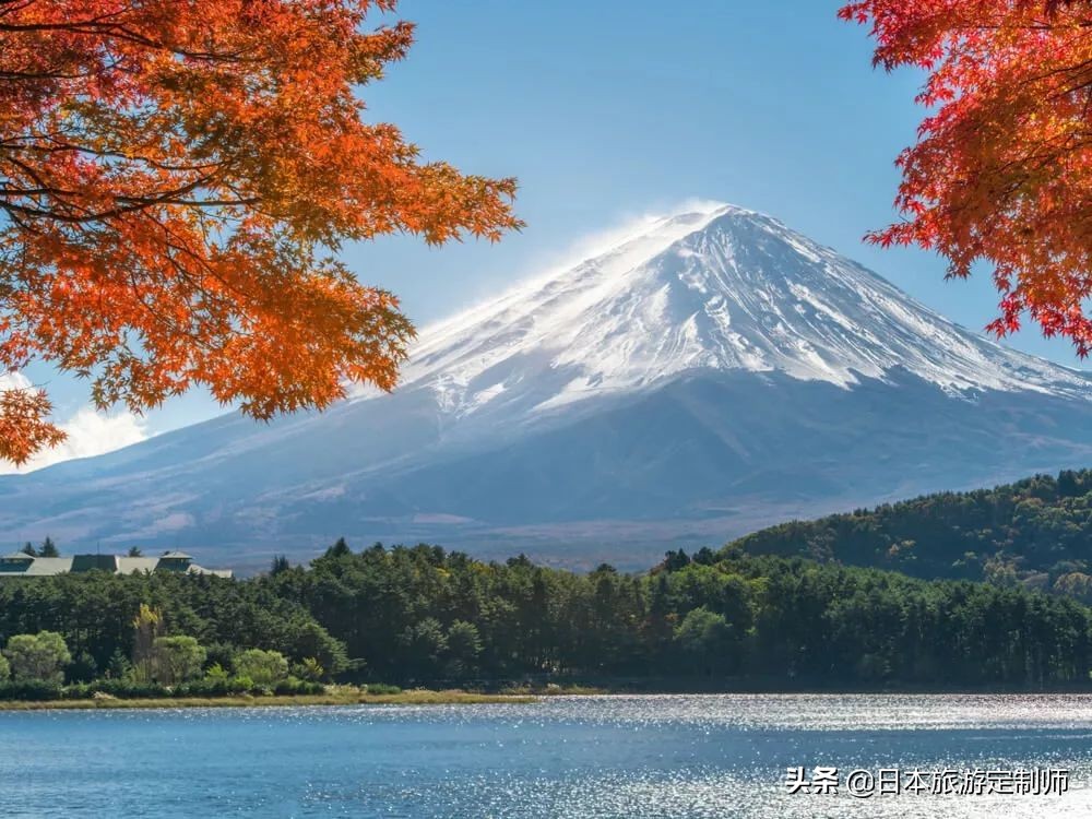 日本最美小景点,日本超美的花海美景