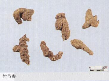 教你怎样辨别真假三七粉,网上买到的假三七粉怎么辨别