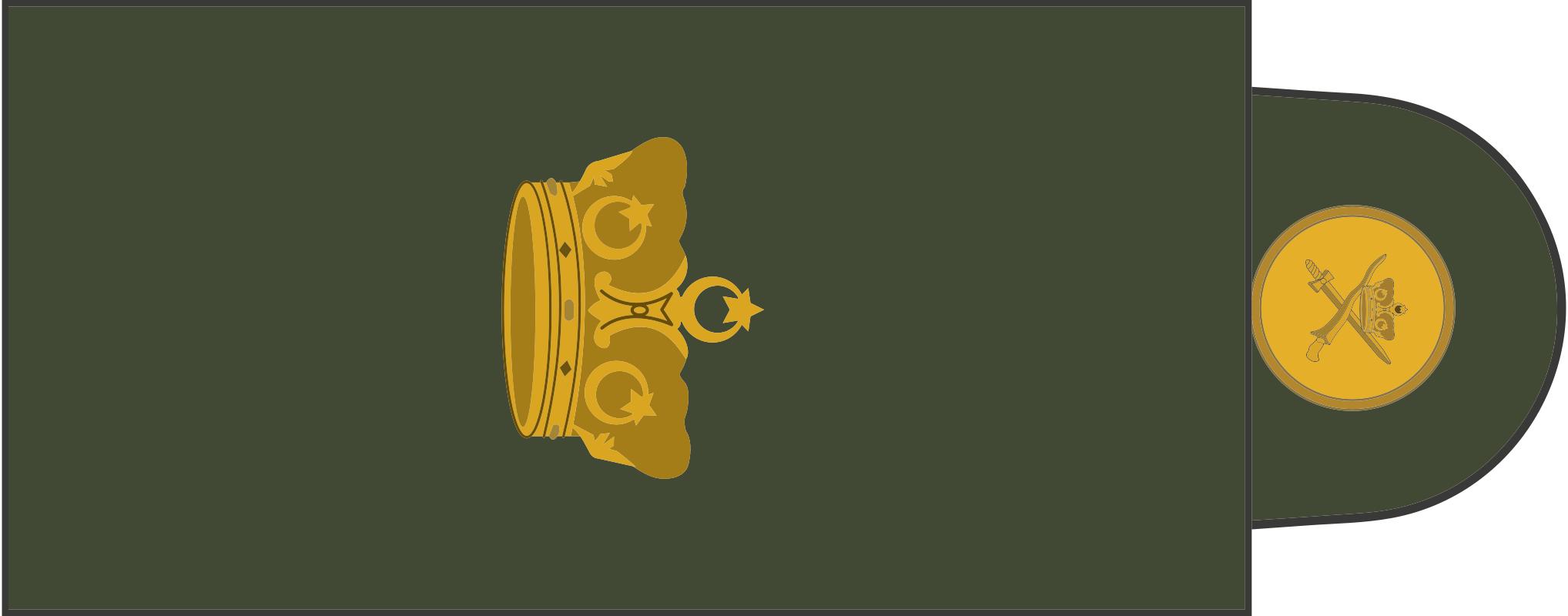 民国国军军装军衔标识,马来西亚军队军衔图集