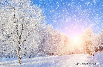 你这种脑子的女人也只能是受骗的命