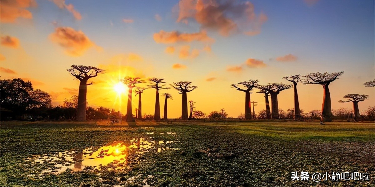 马达加斯加奇葩冷知识,你不知道的国家冷知识摩洛哥