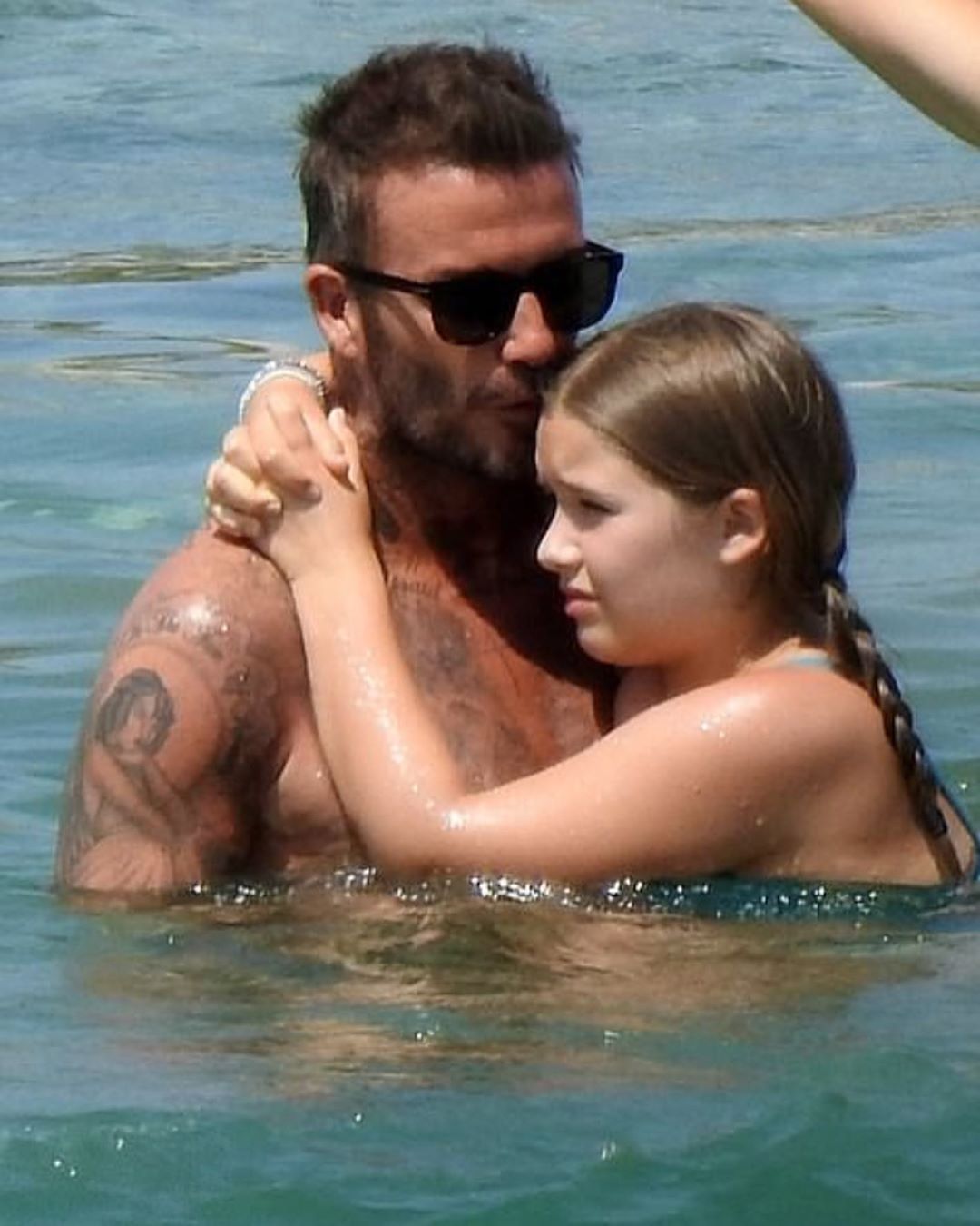 小七变胖了,小七胖成啥样了