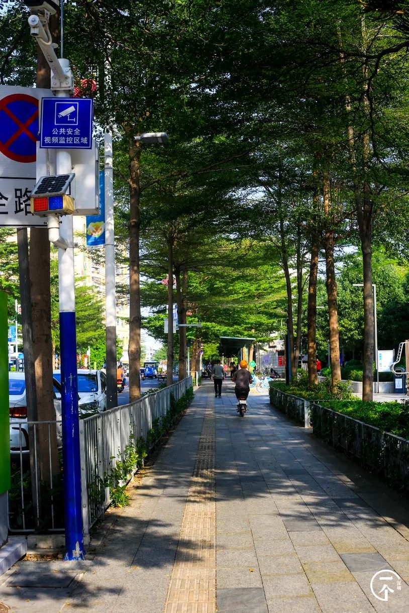 如何在深圳找租房,深圳还有月租300元的房子吗