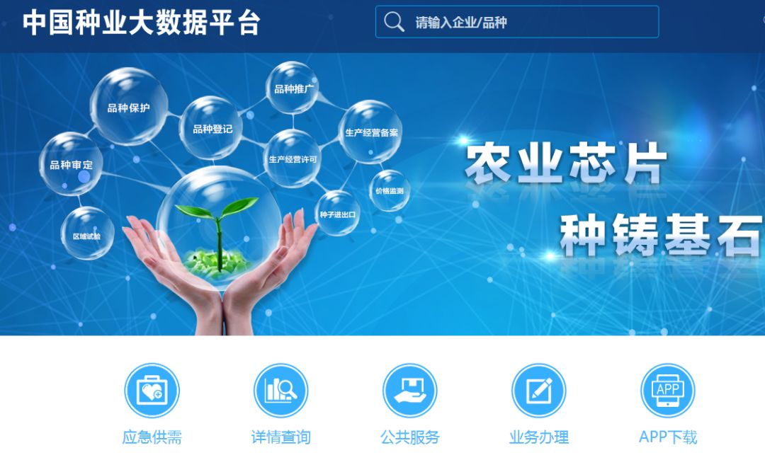 使用数据查询,查询大数据产品价格