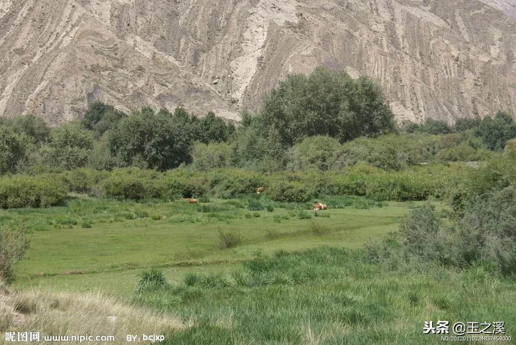 新疆拜城县变化,新疆拜城县经济发展状况