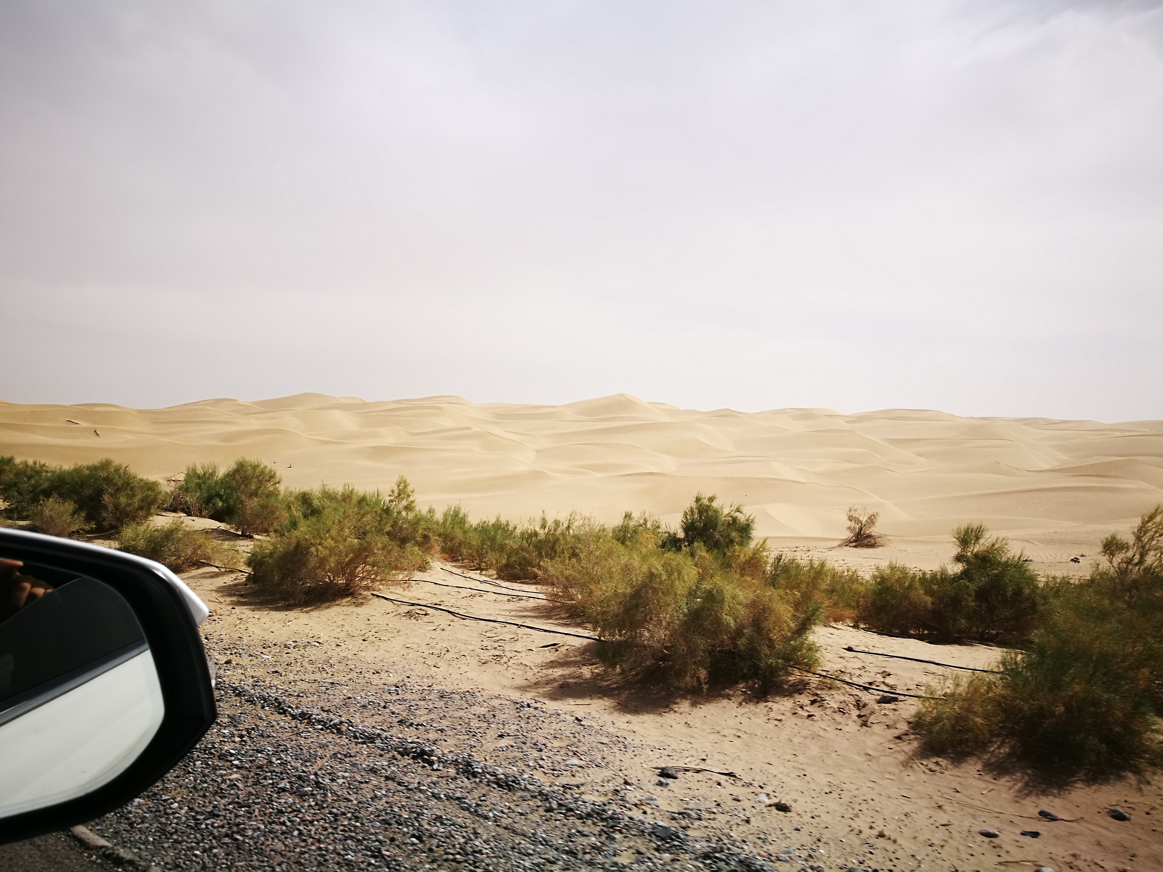 13000公里新手独驾*疆新**日记第23天——塔克拉玛干沙漠陷车自救