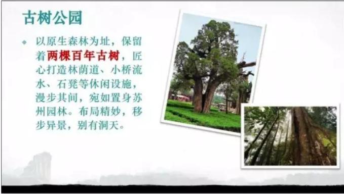 惠州富力温泉养生谷,惠州富力南昆山温泉养生谷