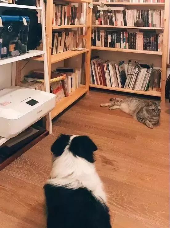 90后花9000元爆改老房子,90后夫妻精心改造精装房