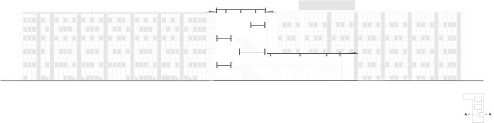 天津泰达一中——神奇的“麻花辫”
