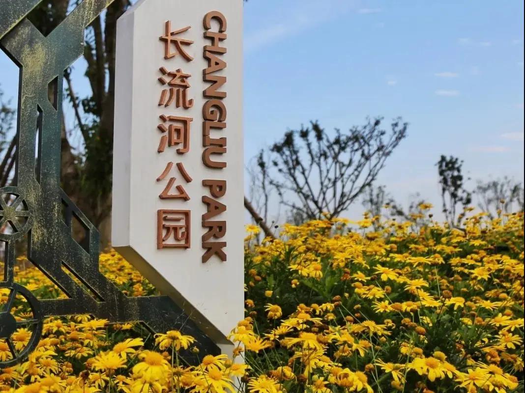 青白江十大健身地,青白江体育