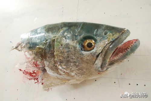 閫忚澶栨寕鐪熺殑鍋囩殑,閫忚澶栨寕鐪熷疄浜嬩欢