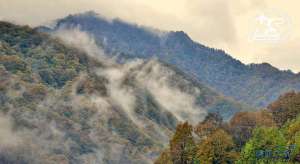 游钓篇｜渔在熊猫故里