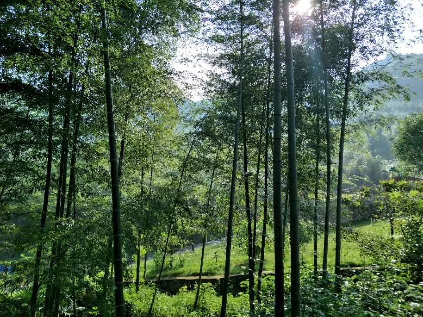 广德市书画培训,四合堂写生基地