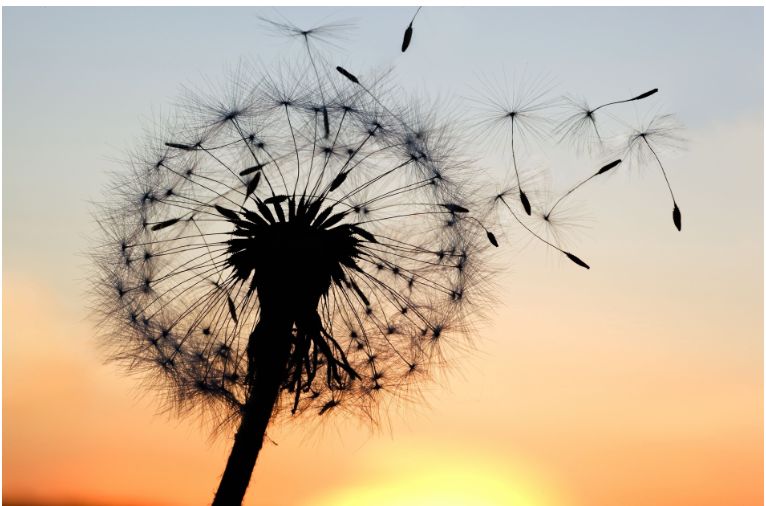 娴峰叧浠ｈ喘鍏嶇◣鏀跨瓥,娴峰叧浠ｈ喘鏀跨瓥