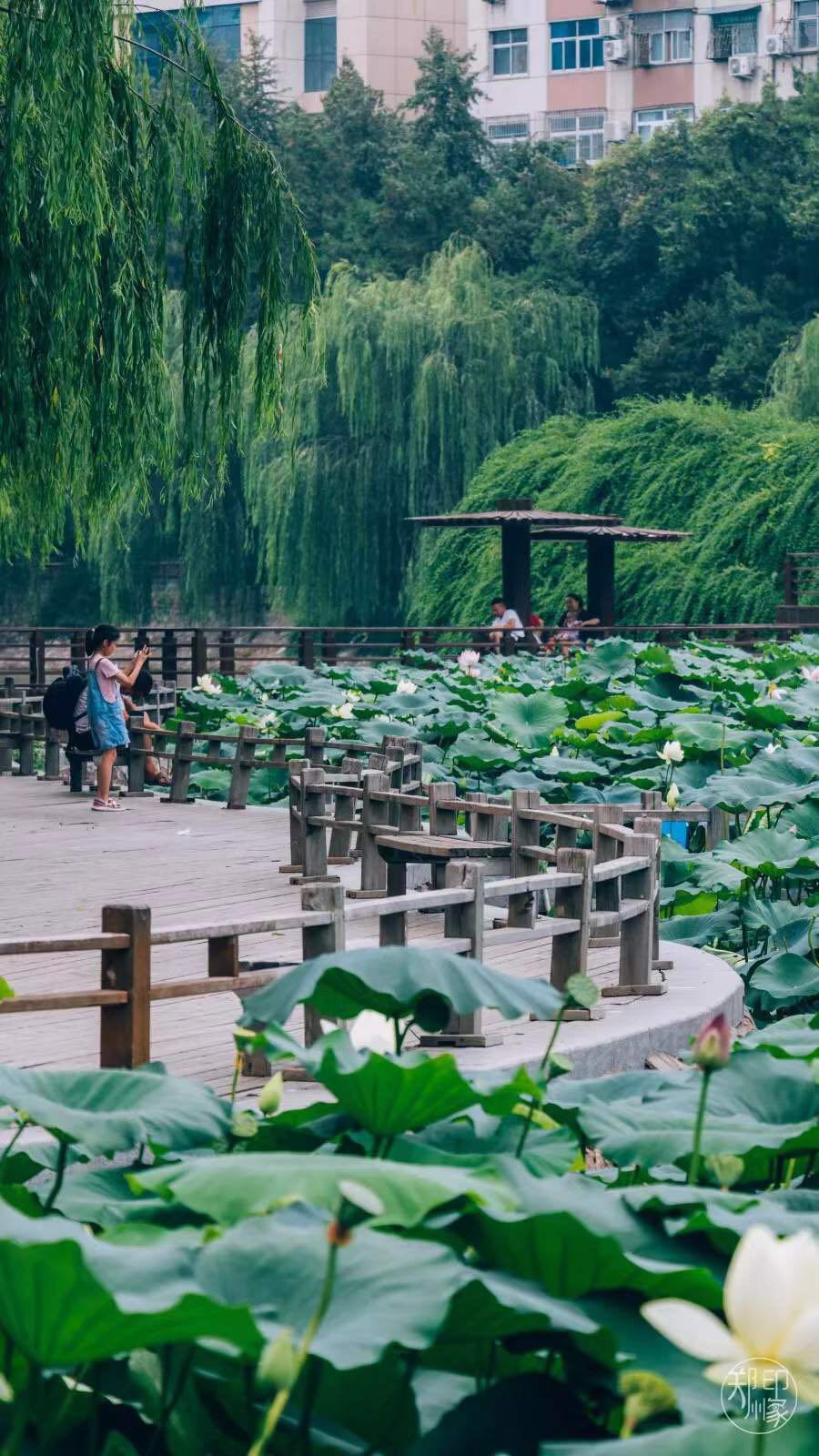 郑州中原区免费运动场地,郑州免费开放的体育场馆名单