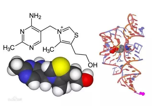 人类向外星人发送的信号解密,人类有没有向外星人发出信号