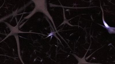 孩子学习总没记性怎么办?2个方法培养孩子高效学习力