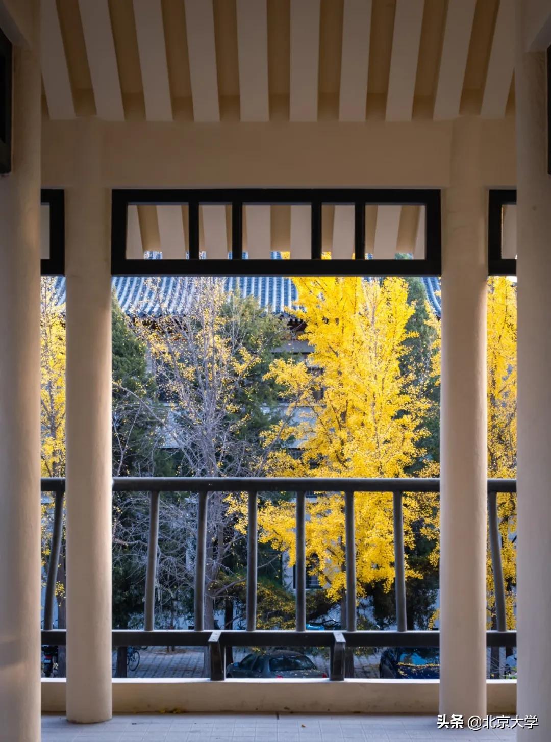 北大图书馆原址,北大图书馆营业时间