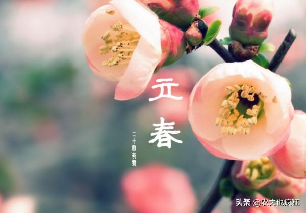 年前立春二月寒是什么意思,年后立春倒春寒啥意思