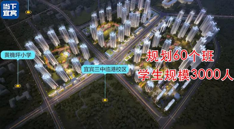 学位紧张片区安排,学位紧张持续到哪一年