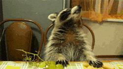 让你心动的搞笑图片,搞笑gif笑死人的动图