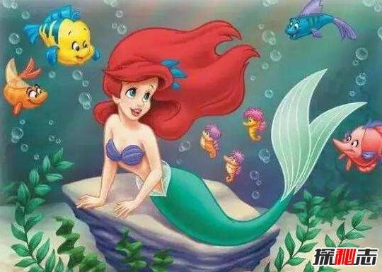 关于真的美人鱼的传说视频,美人鱼传说真实存在的美人鱼