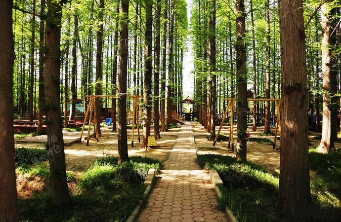 山东最安静的海边小镇,山东消费最低的海边小镇