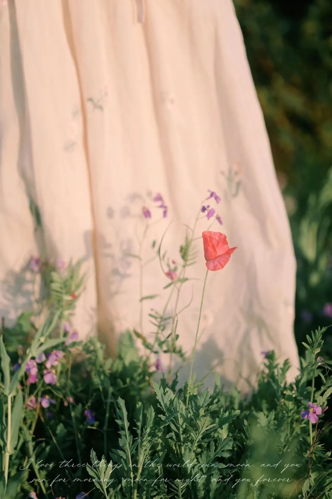 当你选择了花艺这个行业,重新开启花艺创业之路