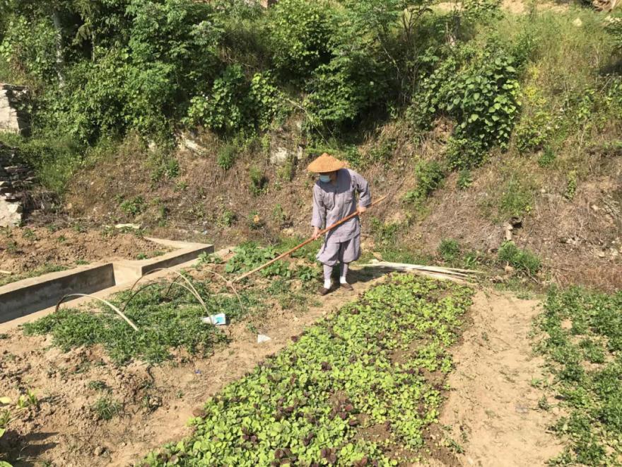 抢抓农时开展农业生产,农民纷纷抢抓春耕生产有利时机