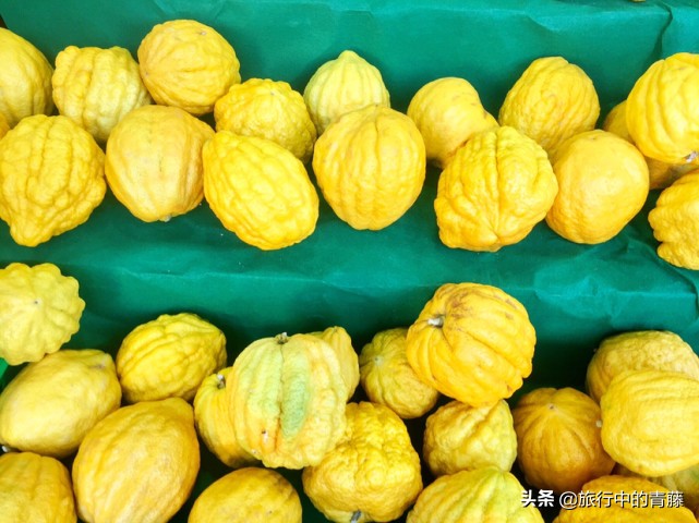 西双版纳最便宜的水果市场在哪里,西双版纳水果和昆明比哪个便宜