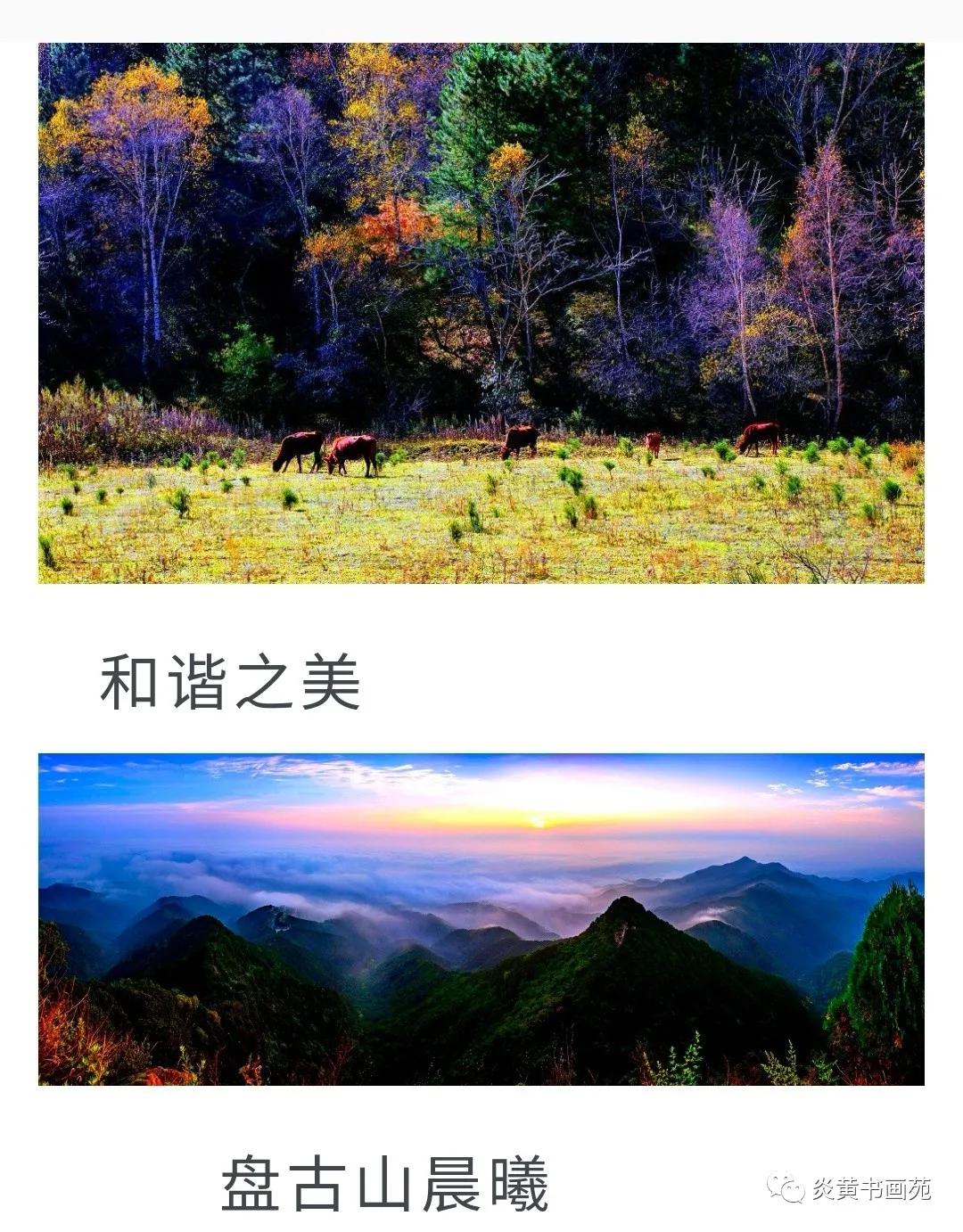 延安摄影家协会摄影作品,延安摄影家协会