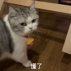 有皱纹开始抗老来得及吗,50岁左右抗老去皱纹