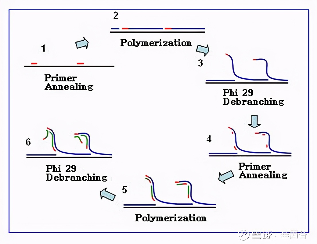 全场硬菜!分子诊断技术全解析