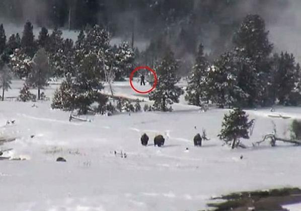 盘点大脚怪最神秘的动物,北美大脚怪真实视频