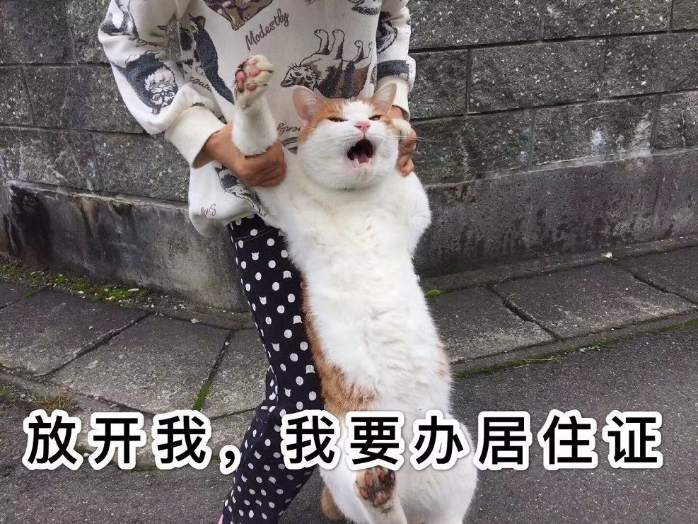 小升初为什么要审核那么久,小升初什么情况下需要准备四证