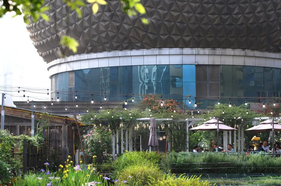 成都咖啡排名前十名,有趣的咖啡排名前十